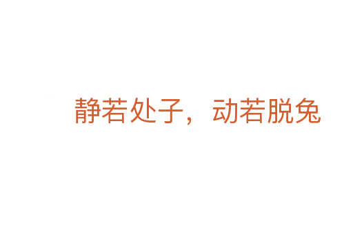 静若处子,动若脱兔