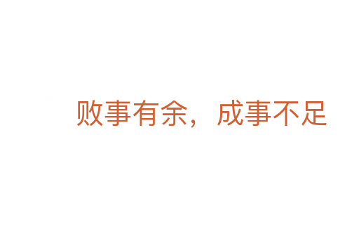 败事有余,成事不足